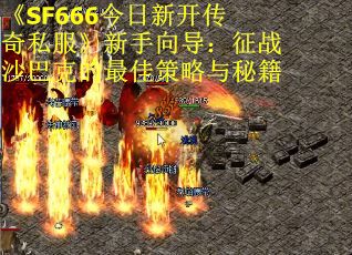 《SF666今日新开传奇私服》新手向导：征战沙巴克的最佳策略与秘籍